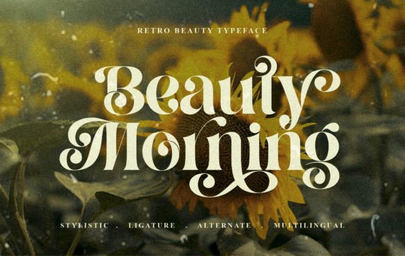 Beauty Morning: A Stylish Display Font for Small Business Branding