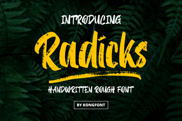 Radicks Cursive Brush Font for Romantic Display Design